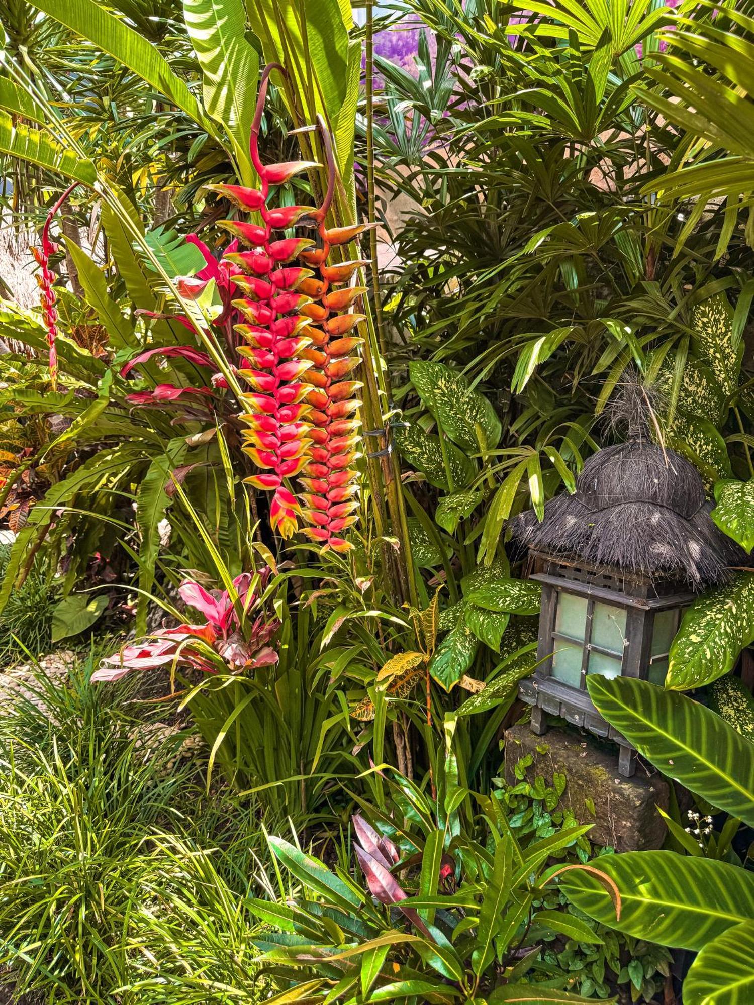 Bali Maison Ubud  Ngoại thất bức ảnh
