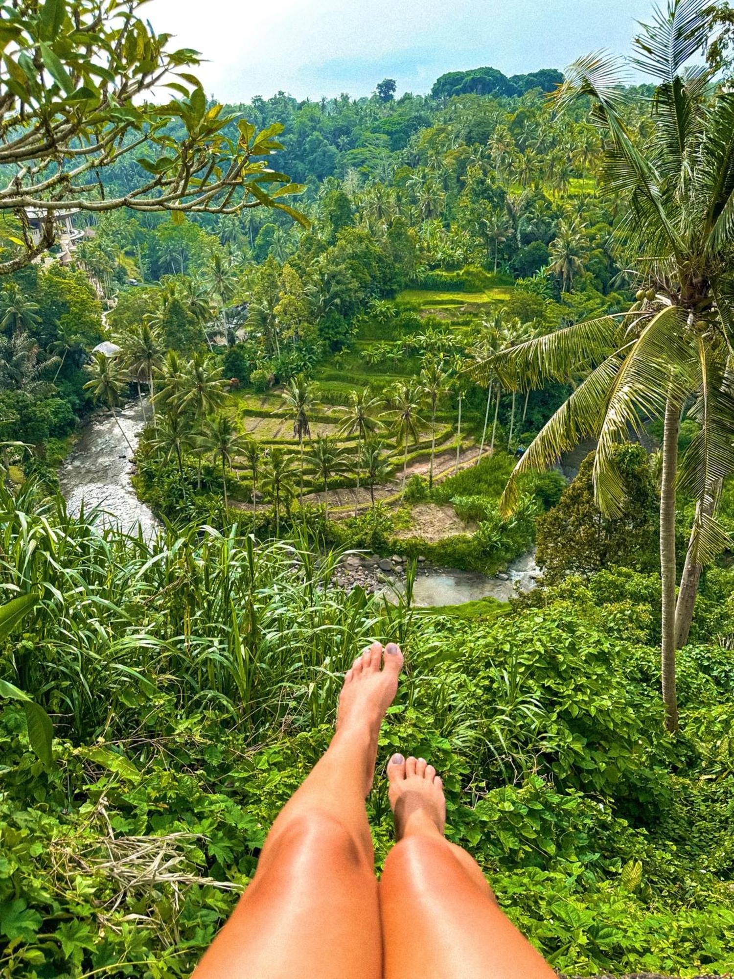 Bali Maison Ubud  Ngoại thất bức ảnh
